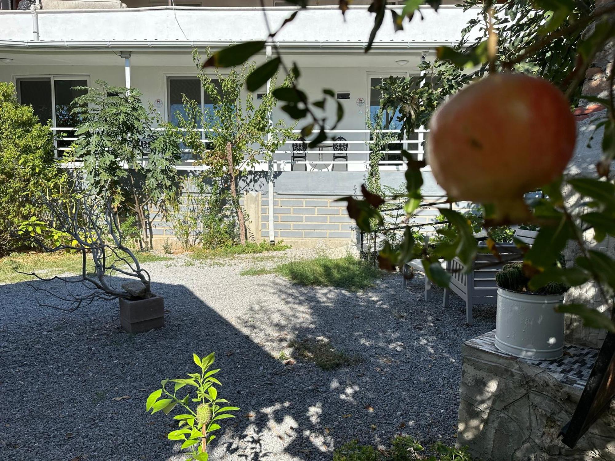 Airport Blue Eye House Ideal For Air Travellers 5 Km From Airport Dalaman Exterior photo